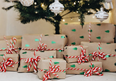 Priority Shipping - Ashley Horodnyckye