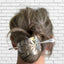 Cake Server Hair Barrette - Lincoln - #5674