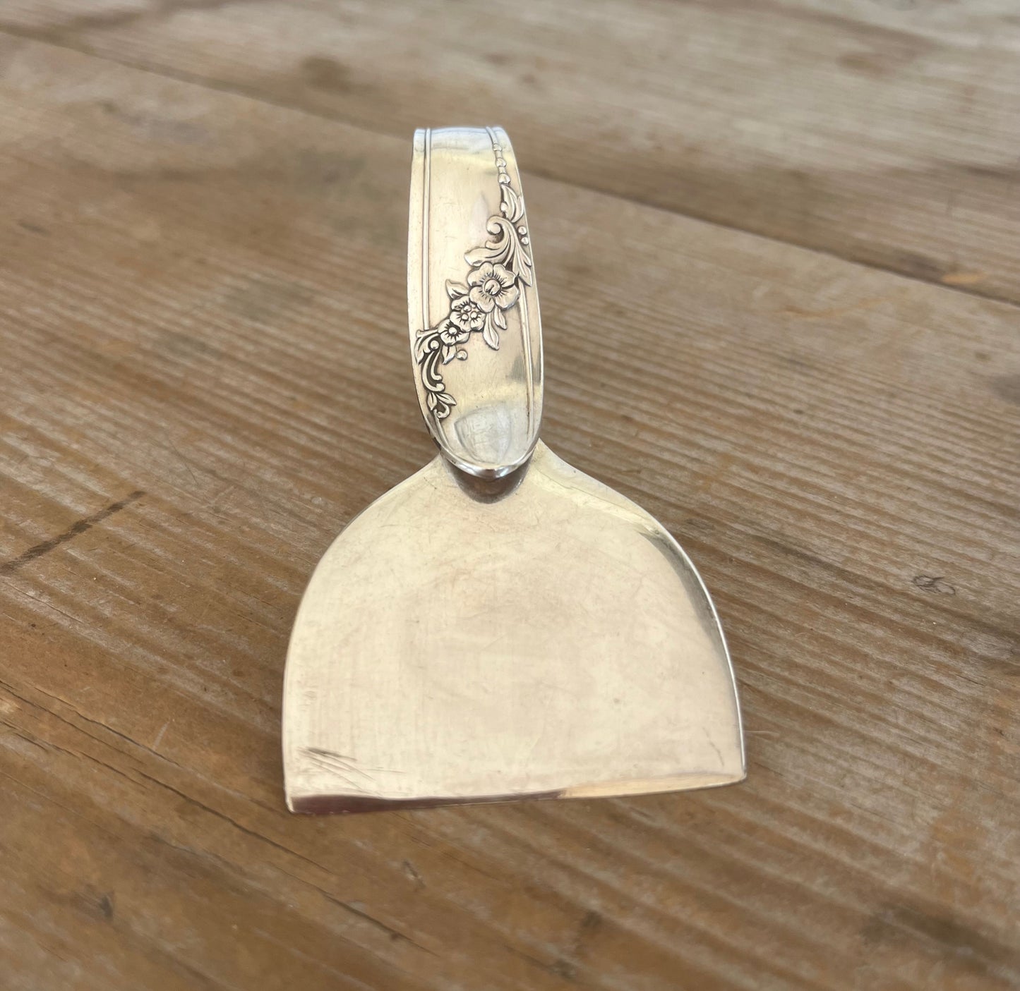 Ergonomic Spoon Cheese Knife - QUEEN BESS - #5798