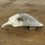 Hand-stamped stars pattern guitar spoon belt buckle, side view showing catch and prong - handcrafted from upcycled vintage silverware - Laughing Frog Studio