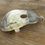 Lucille guitar spoon belt buckle, side view of construction shape - handcrafted from upcycled vintage silverware - Laughing Frog Studio