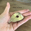 Guitar spoon belt buckle held in hand for scale - handcrafted from upcycled vintage silverplate spoon - Laughing Frog Studio