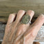 Statement Spoon Ring - AMANA COLONIES Iowa- #6211