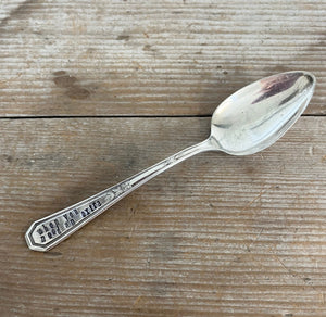 Spoon Theory "When You Need an Extra Spoon" Stamped Spoon