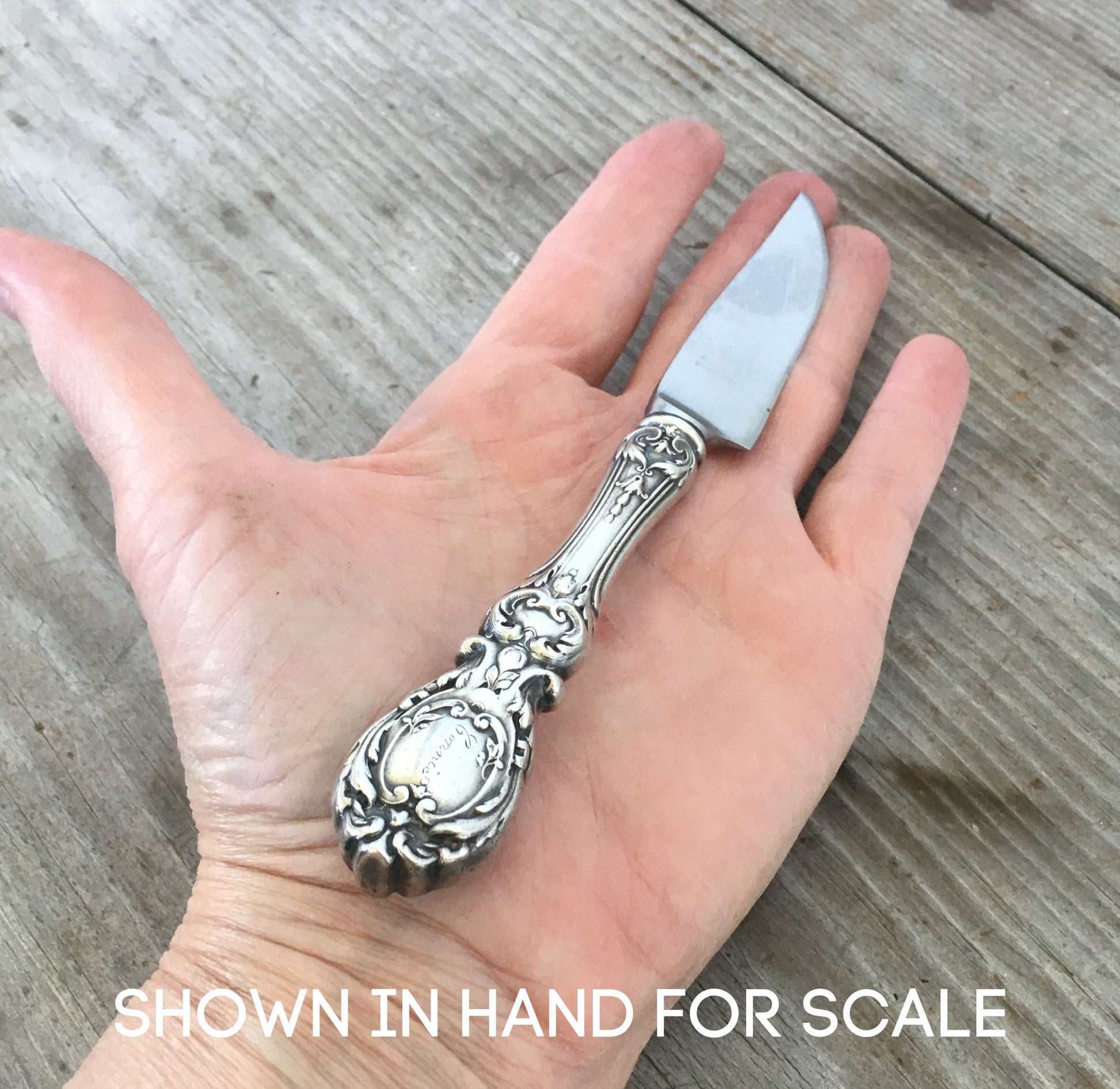 Reed & Barton Francis I sterling charcuterie knife showing sculptural fruit and floral motifs from 1907 pattern shown in hand for scale
