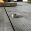 Spoon Ring - COTILLION - #4007