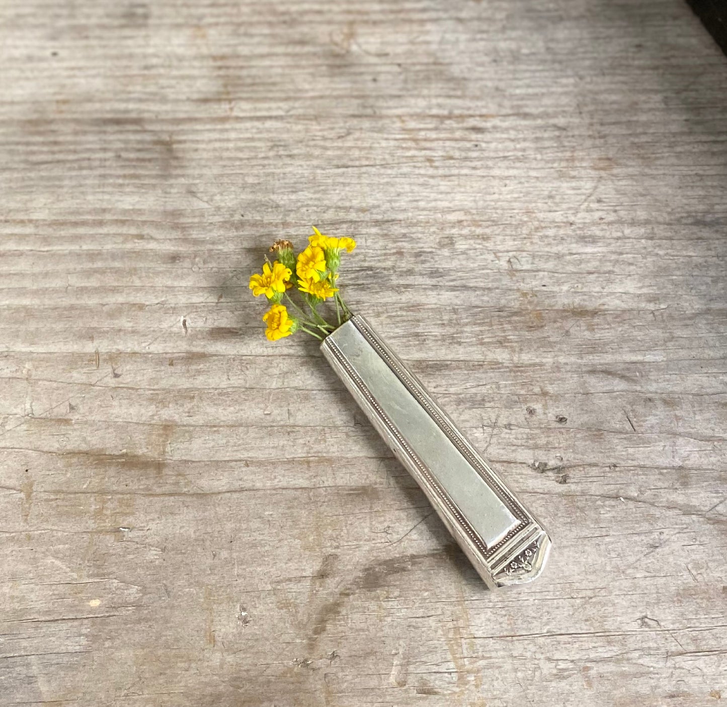 Knife Vase with Suction Cup - ANNIVERSARY