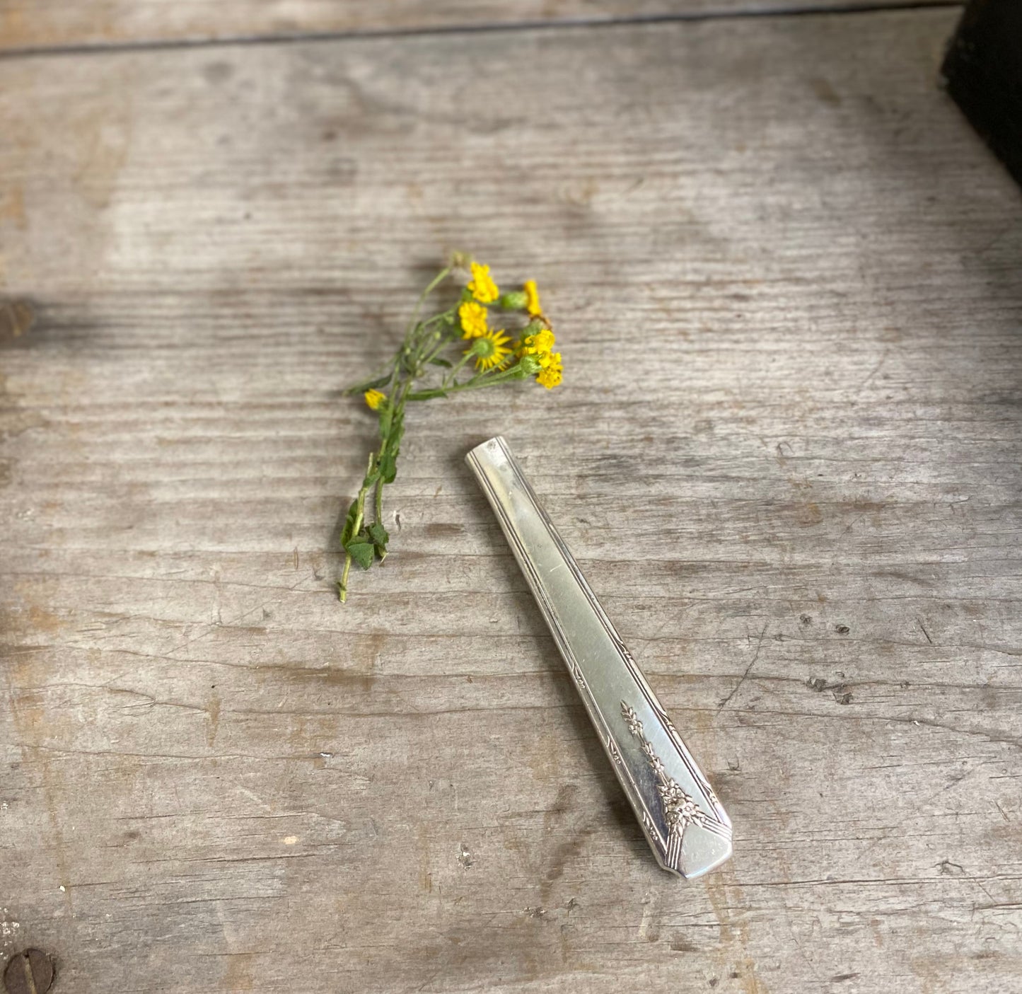 Upcycled vintage 1940 Milady pattern silverplate knife vase with suction cup ready for flowers and water