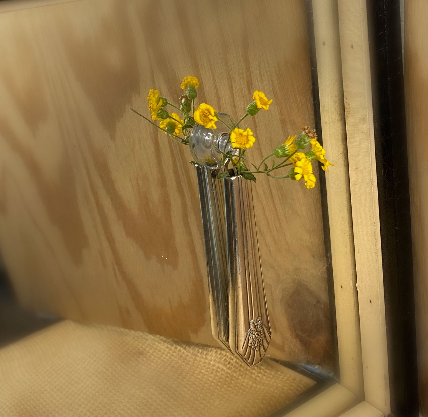 Knife Vase with Suction Cup - PICARDY