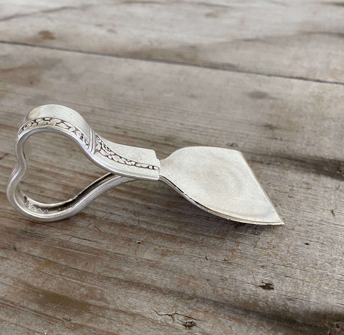 Ergonomic Spoon Cheese Knife - CAPRICE - #4887