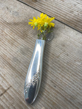 Knife Vase with Suction Cup - QUEEN BESS