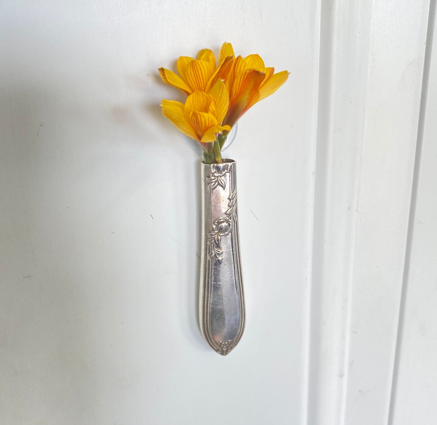 Knife Vase with Suction Cup - ROSEMARY