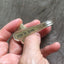 William Rogers & Son Mayfair Handstamped Money Clip Shown in Hand for scale