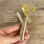 Knife Vase or Boutonniere with Magnet - DEL MAR