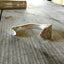Spoon Cuff Bracelet - CARNATION - #4036