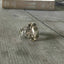 Spoon Ring Crest Size 11 3913