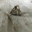 Sterling Spoon Ring - ALVIN LORRAINE - #4093