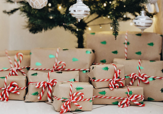 Priority Shipping - Ashley Horodnyckye