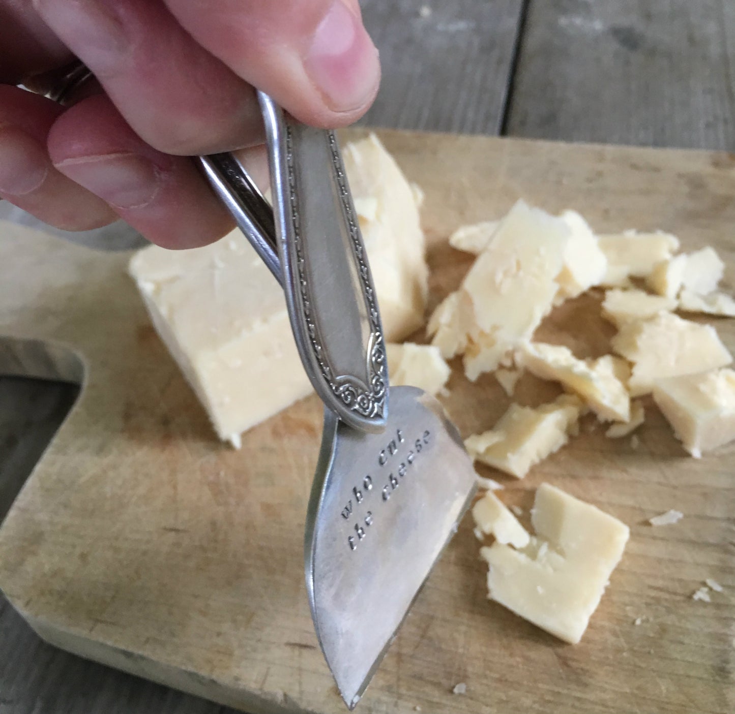 Spoon CHeese Knife from Vintage Silverplate Pattern Sheraton by community Plate